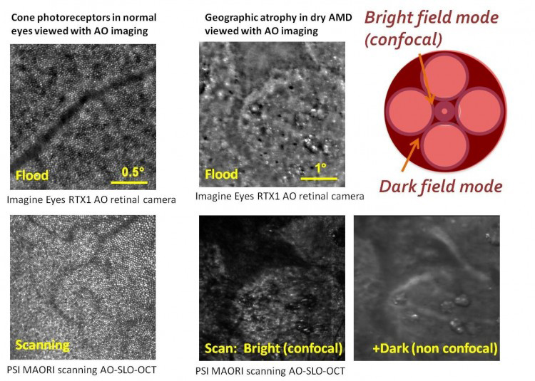 Flood and scanning